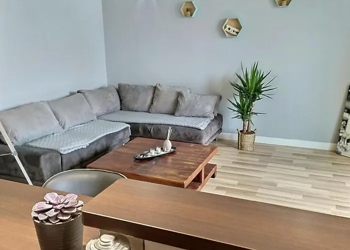 Danton | Spacieux | Wifi | Parking | Proche Centre